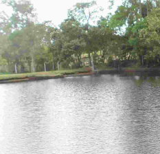 Photo08