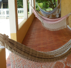 Photo15