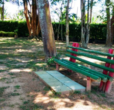 Photo15