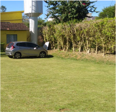 Photo13